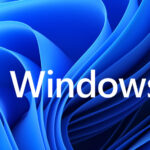 logo-windows11
