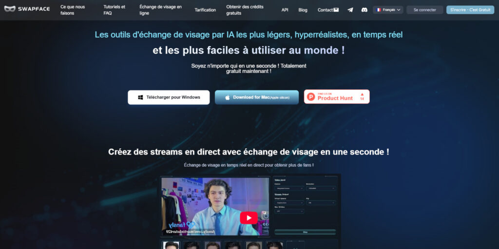 Swapface org
